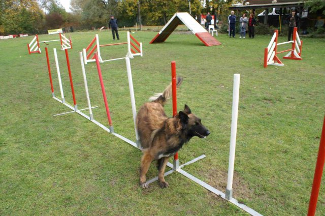 agility 2011-10-30